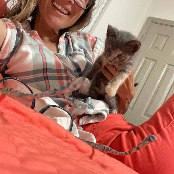 Meet your Posher, Shelly - Picture 2 of 9